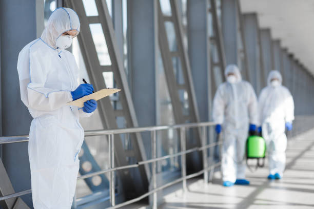 Best Basement Mold Removal  in Springdale, NJ